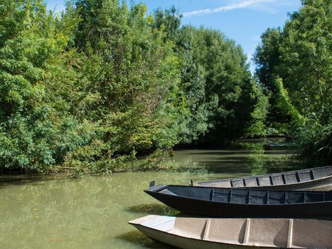 Camping La Grière - Camping Vendée - Image N°5