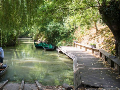Camping La Grière - Camping Vendée - Image N°4
