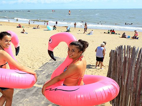 Camping La Grière - Camping Vendée - Image N°6