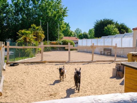 Camping Le Grand Pré - Camping Vendée - Image N°6