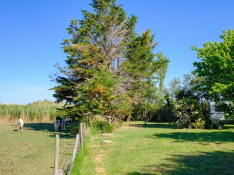 Camping Le Grand Pré - Camping Vendée - Image N°19