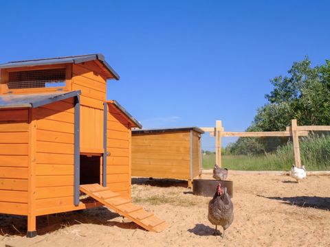 Camping Le Grand Pré - Camping Vendée - Image N°11