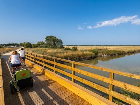 Camping Le Grand Pré - Camping Vendée - Image N°21