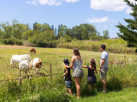 Camping Le Grand Pré - Camping Vendée - Image N°14