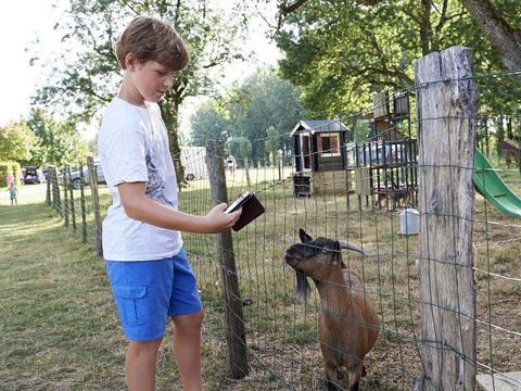 Camping Aux Rives du Soleil - Camping Ain - Image N°31