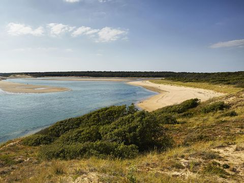 Flower Camping Le Petit Paris - Camping Vendée - Image N°41