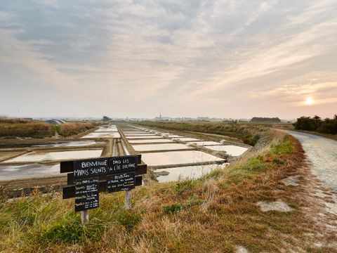 Flower Camping Le Petit Paris Flower Camping Le Petit Paris - Camping Vendée - Image N°61