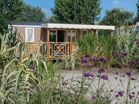 MOBILHOME 6 personnes - Confort