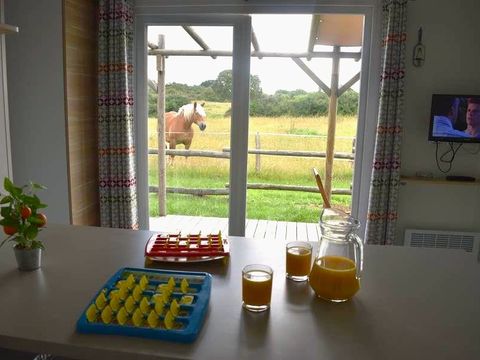 MOBILHOME 6 personnes - Premium