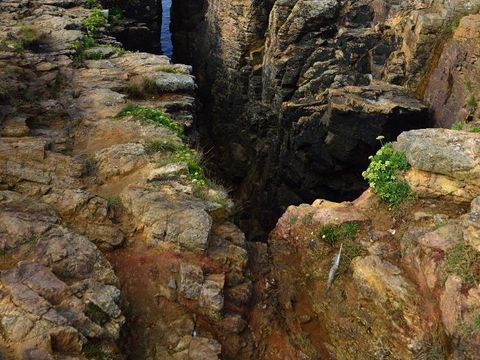 Flower Camping Le Petit Paris - Camping Vendée - Image N°46