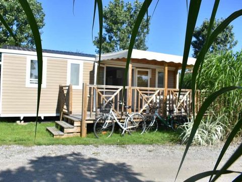 Flower Camping Le Petit Paris - Camping Vendée - Image N°33