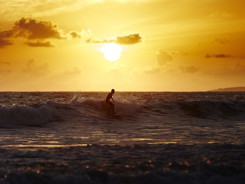 Flower Camping Le Petit Paris - Camping Vendée - Image N°44