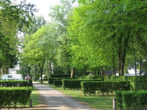 Camping Au bord du Lay - Camping Vendée - Image N°3