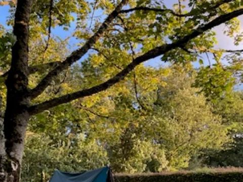 Flower Camping Le Val Vert en Berry - Camping Indre - Image N°13