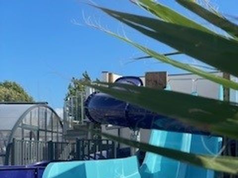 Camping Les Marsouins - Camping Vendée - Image N°9