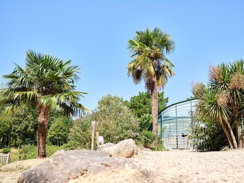 Camping Paradis la Bretonnière - Camping Vendée - Image N°69