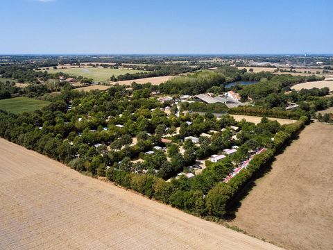 Camping Paradis la Bretonnière - Camping Vendée - Image N°7
