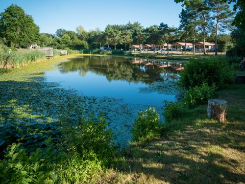 Camping Paradis la Bretonnière - Camping Vendée - Image N°31