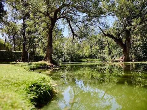 Camping Domaine du Château de l'Epervière  - Camping Saône-et-Loire - Image N°39
