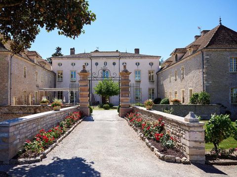 Camping Domaine du Château de l'Epervière  - Camping Saône-et-Loire - Image N°44