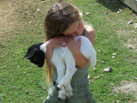 Camping L'Ambois - Camping Vendée - Image N°5