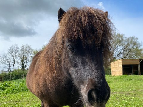 Camping L'Ambois - Camping Vendée - Image N°15