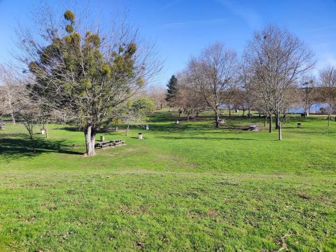 Camping du Lac de Saint-Cyr - Camping Vienne - Image N°16