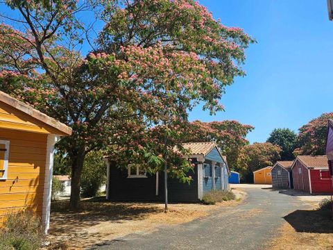 MOBILHOME 6 personnes - Cozy chambres