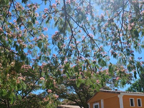 Ushuaia Villages Les Chalets de Moulière - Camping Vienne - Image N°53