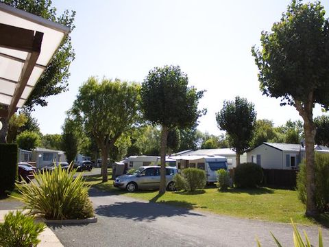 Camping La Ningle - Camping Vendée - Image N°29
