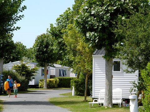Camping Les Ecureuils - Camping Vendée - Image N°20