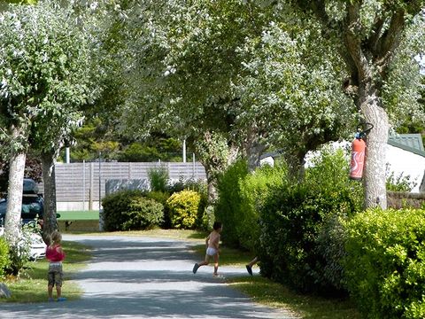 Camping Les Ecureuils - Camping Vendée - Image N°22