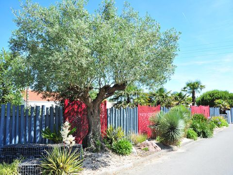 Camping Les Ecureuils - Camping Vendée - Image N°52