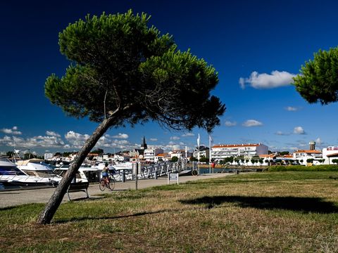 Camping Fonteclose - Camping Vendée - Image N°38