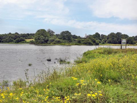 Flower Camping Le Val De Vie - Camping Vendée - Image N°14