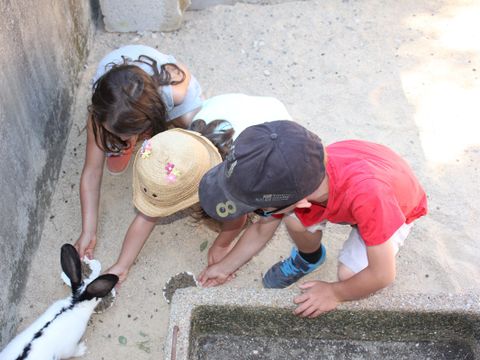 Camping Le trèfle à 4 Feuilles - Camping Vendée - Image N°10