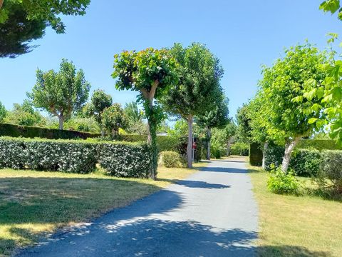 Camping La Buzelière - Camping Vendée - Image N°6