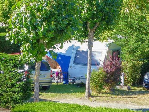 Camping La Buzelière - Camping Vendée - Image N°4