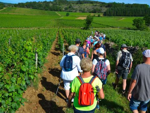 Camping Lac de Saint-Point Lamartine - Camping Doubs - Image N°13