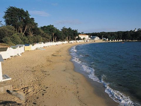 Camping Le Petit Bois - Camping Vendée - Image N°24