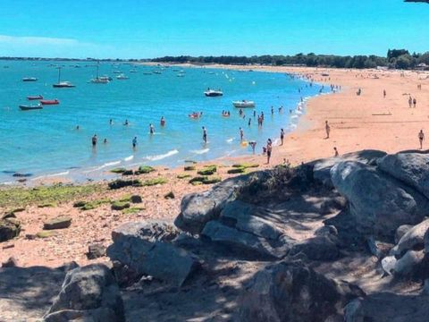 Camping Le Petit Bois - Camping Vendée - Image N°31