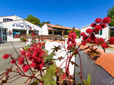Camping Le Pont D'yeu - Camping Vendée - Image N°9