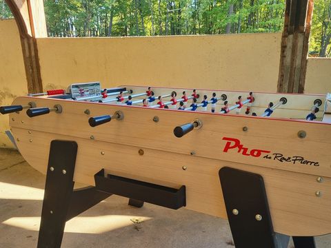 Camping Les Petites Minaudieres - Camping Vienne - Image N°10