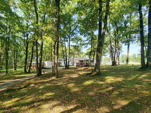 Camping Les Petites Minaudieres - Camping Vienne - Image N°2