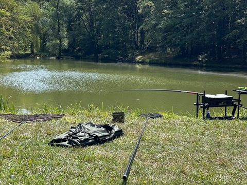 Camping Les Petites Minaudieres - Camping Vienne - Image N°29