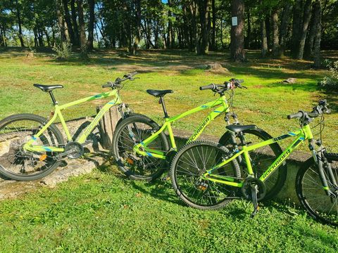 Camping Les Petites Minaudieres - Camping Vienne - Image N°11