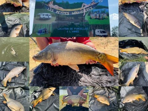 Camping Les Petites Minaudieres - Camping Vienne - Image N°26