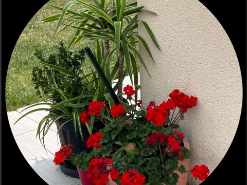 Camping Les Petites Minaudieres - Camping Vienne - Image N°20