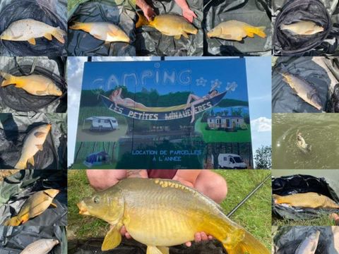 Camping Les Petites Minaudieres - Camping Vienne - Image N°12