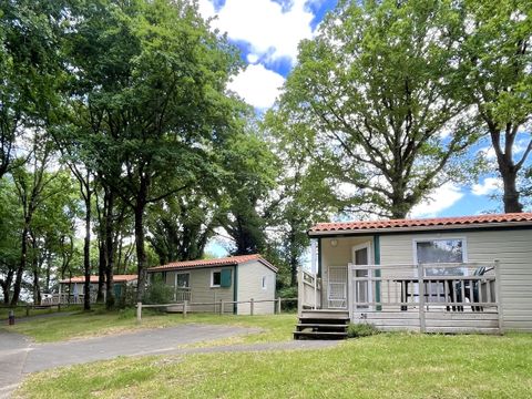 Camping Municipal La Petite Boulogne - Camping Vendée - Image N°8